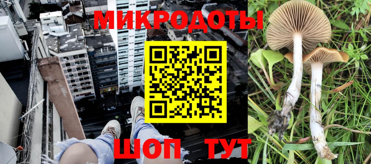 Саратов  Галлюциногенные грибы мицелий  Вход с VPN 
