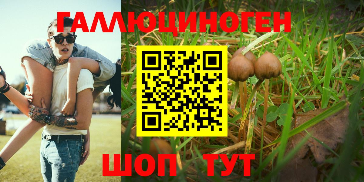 Галлюциногенные грибы MAGIC MUSHROOMS Саратов